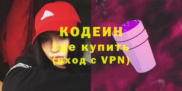 индика Осташков