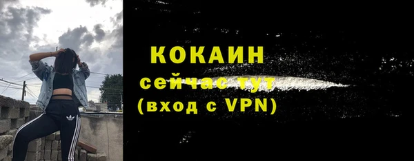 соль курить ск Пересвет