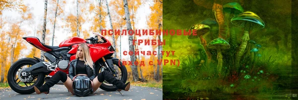 мескалин Переславль-Залесский